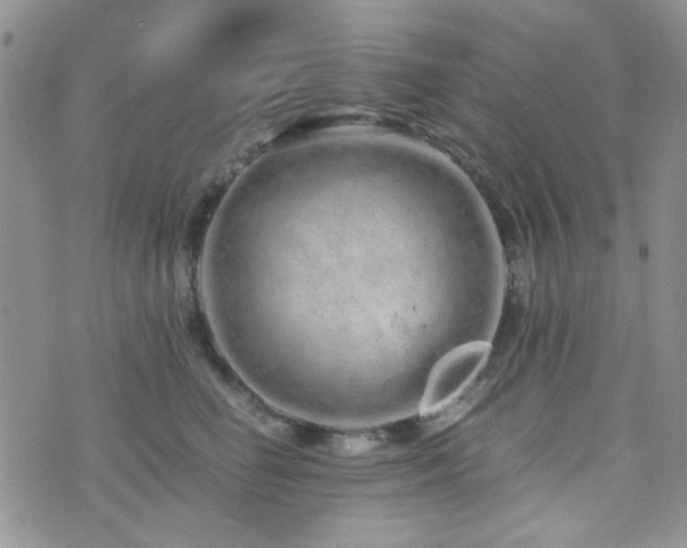 X0000073700662200608031216