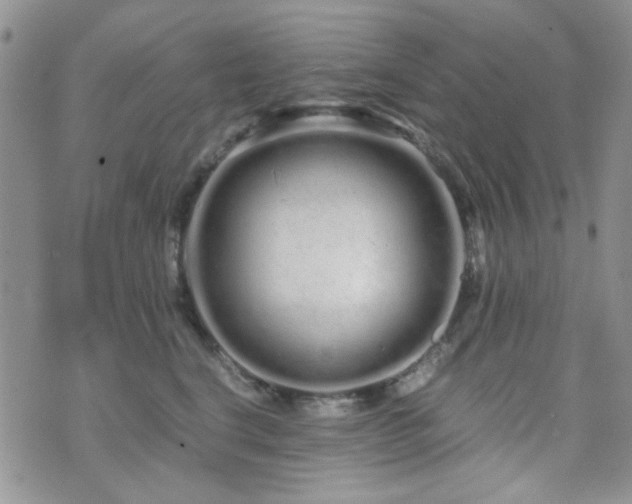 X0000073700664200608031216