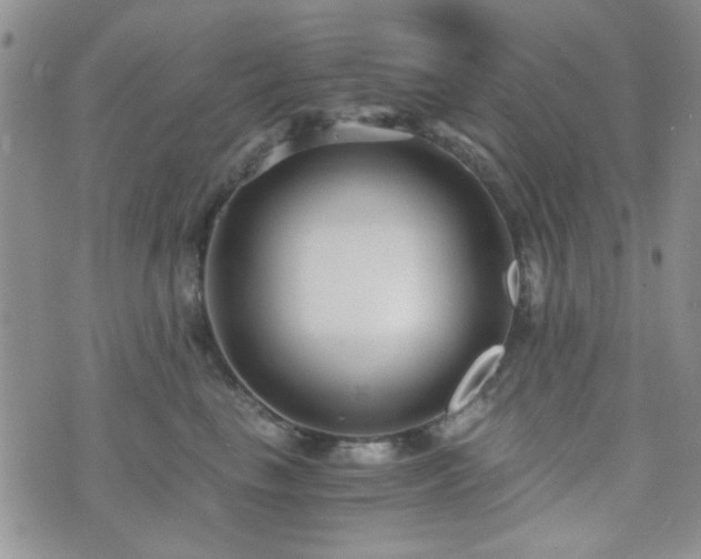 X0000073700665200608031216