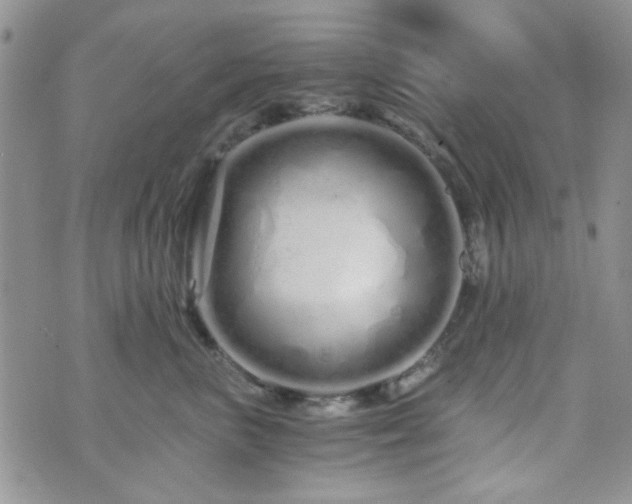 X0000073700667200608031216