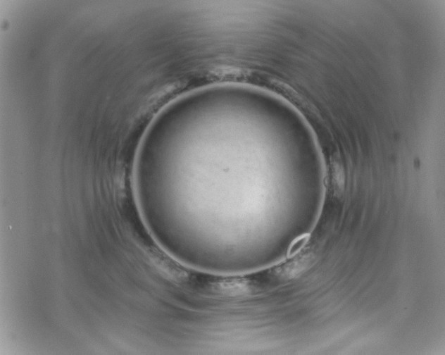 X0000073700668200608031216