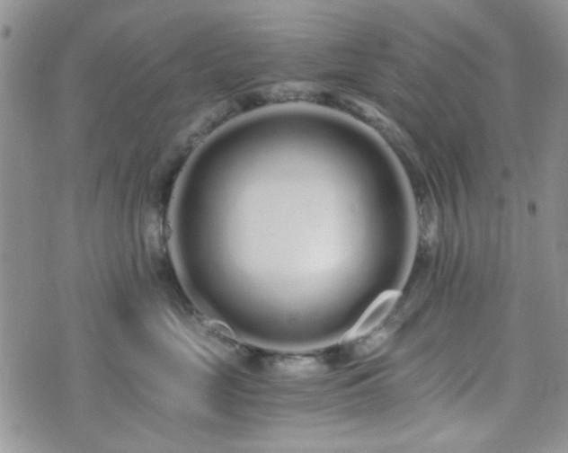 X0000073700669200608031216