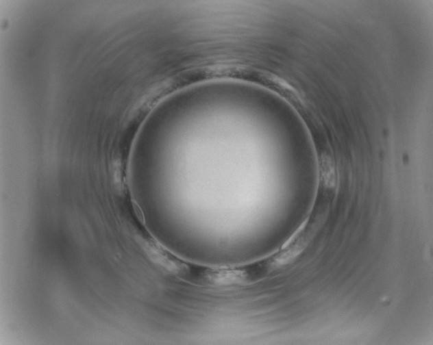 X0000073700670200608031216