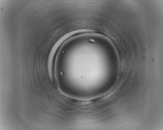 X0000073700671200608031216