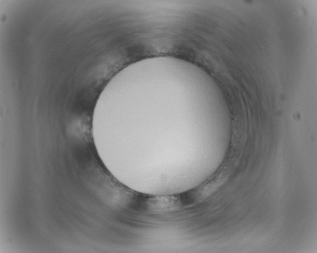 X0000073700672200608031216