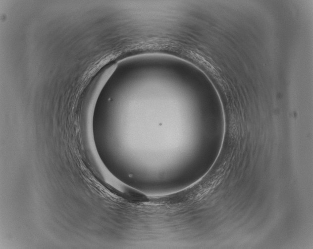 X0000073700673200608031215