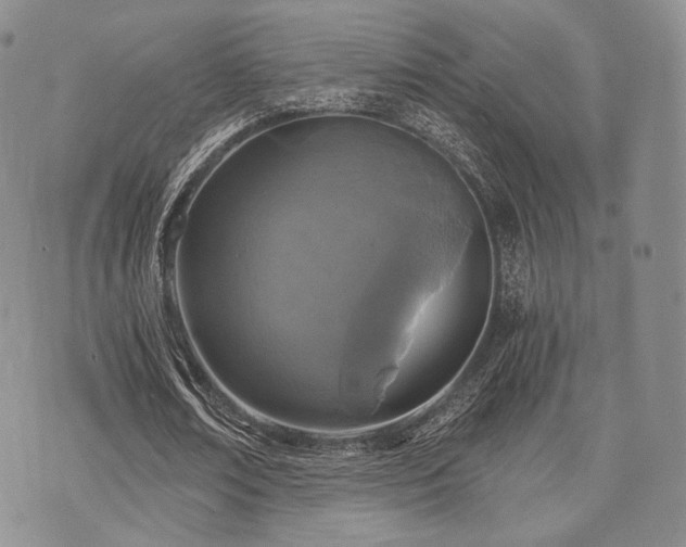 X0000073700674200608031215