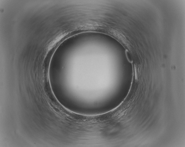 X0000073700675200608031215