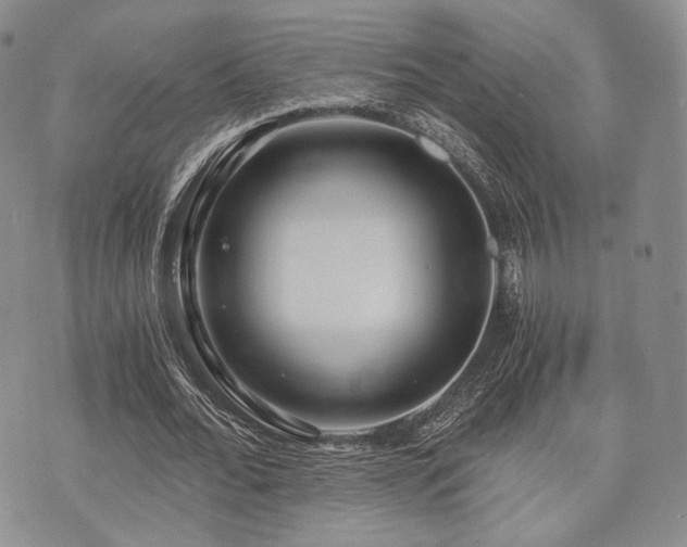 X0000073700676200608031215