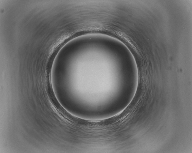 X0000073700677200608031215