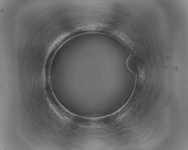 X0000073700678200608031215