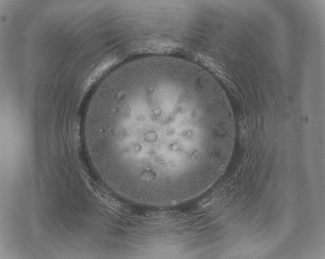 X0000073700679200608031215