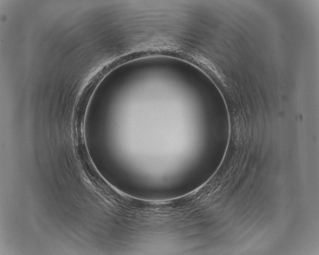 X0000073700680200608031215