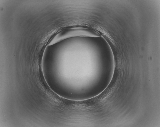 X0000073700681200608031215