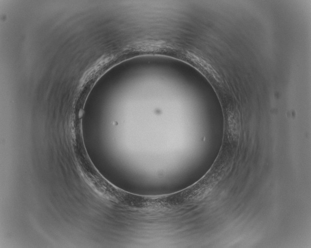 X0000073700682200608031215