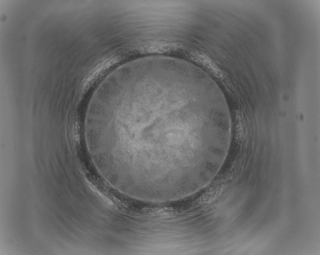 X0000073700683200608031215