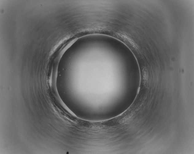 X0000073700684200608031215