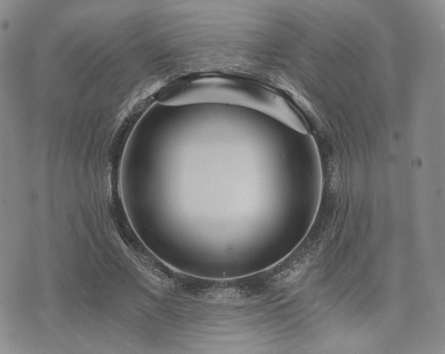 X0000073700685200608031215