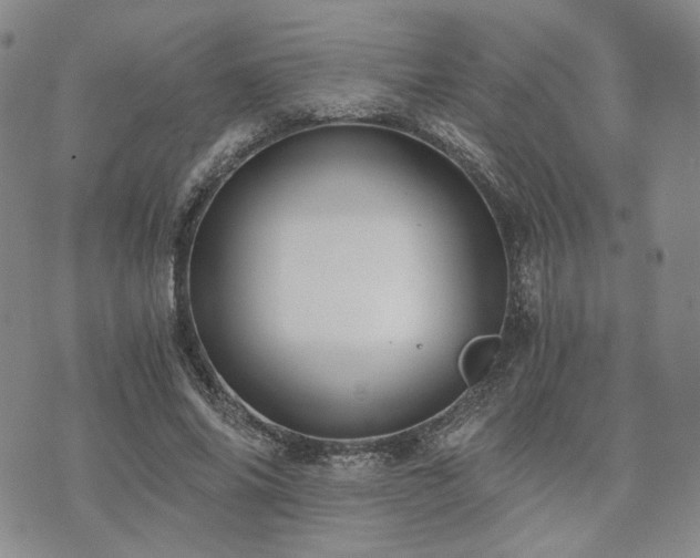 X0000073700686200608031215