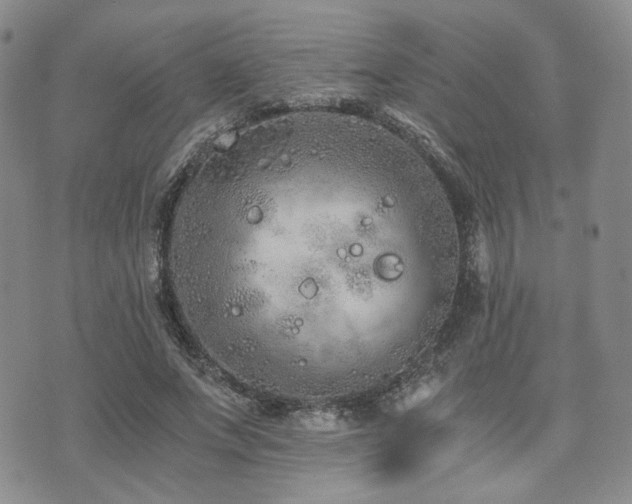 X0000073700687200608031215