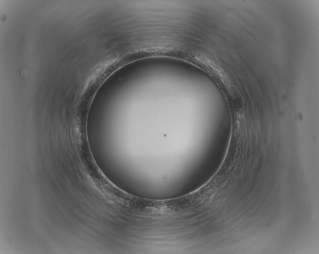 X0000073700688200608031215