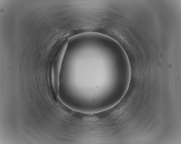 X0000073700689200608031215