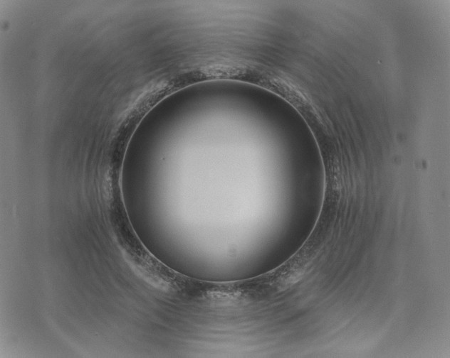 X0000073700690200608031215