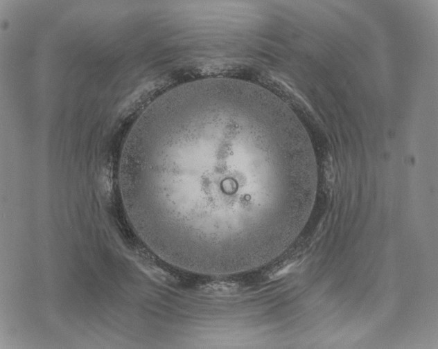 X0000073700691200608031215