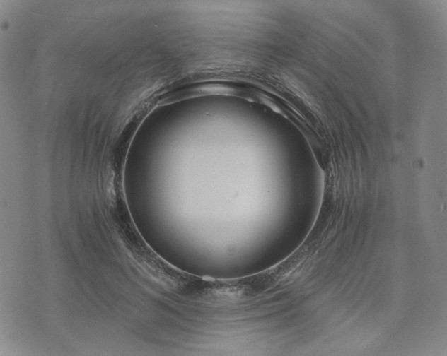 X0000073700692200608031215