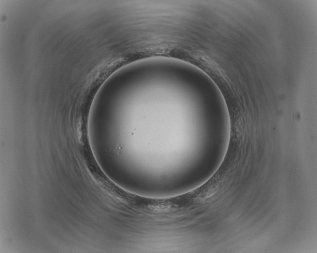 X0000073700693200608031215