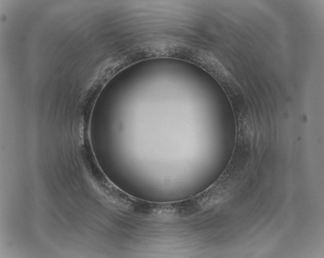 X0000073700694200608031215