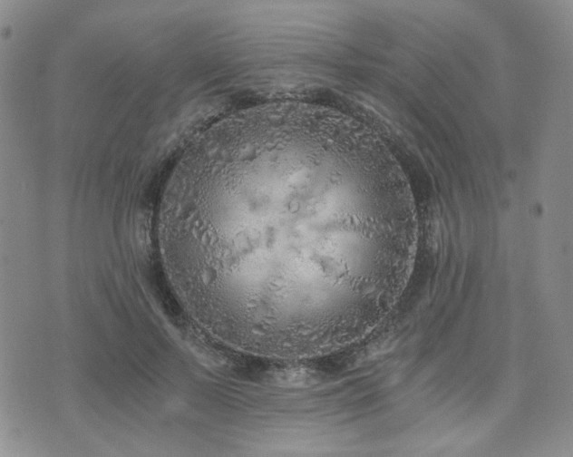 X0000073700695200608031215