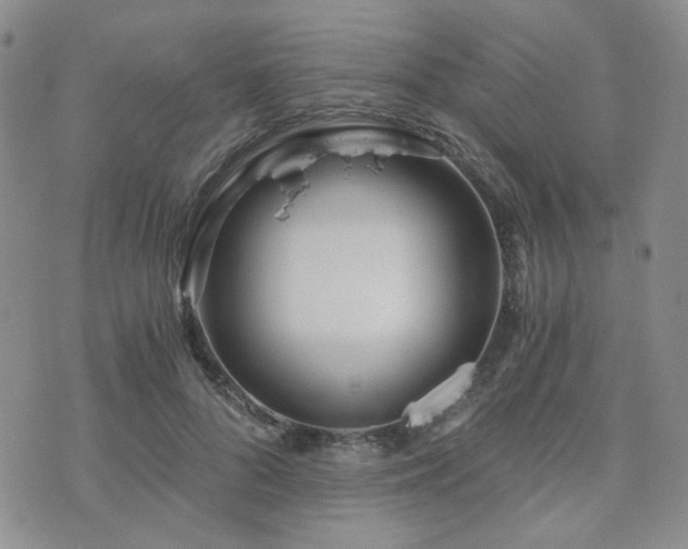 X0000073700696200608031215