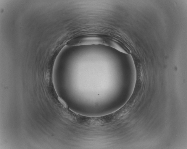 X0000073700697200608031215