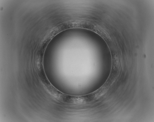 X0000073700698200608031215