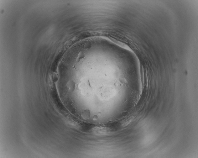 X0000073700699200608031215