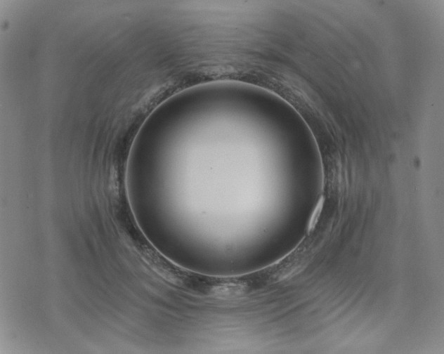 X0000073700700200608031215