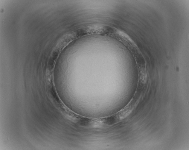 X0000073700701200608031215