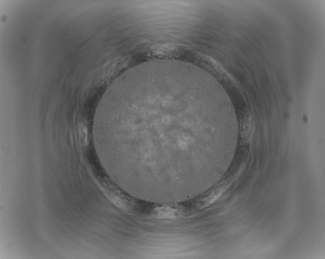 X0000073700703200608031215