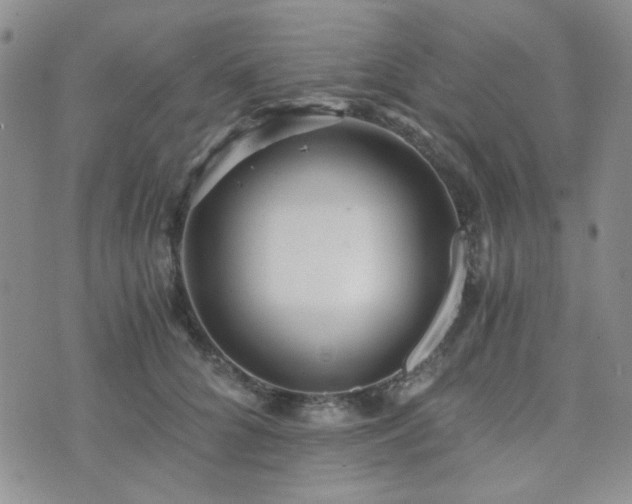 X0000073700704200608031215