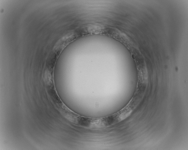 X0000073700705200608031215