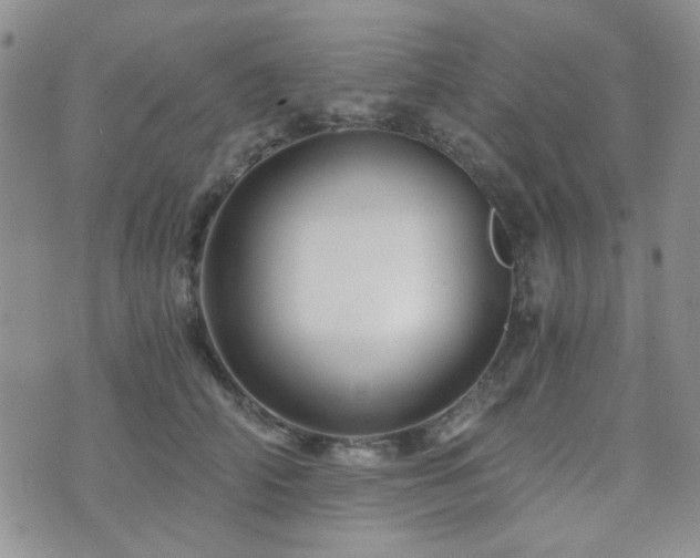 X0000073700706200608031215