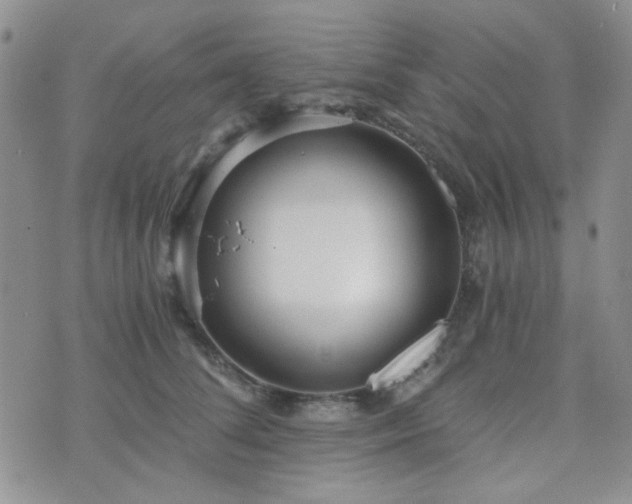 X0000073700708200608031215