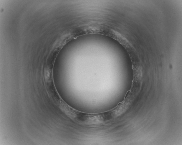 X0000073700709200608031215