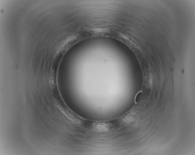 X0000073700710200608031214