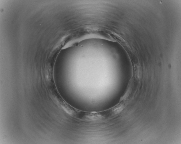 X0000073700712200608031214