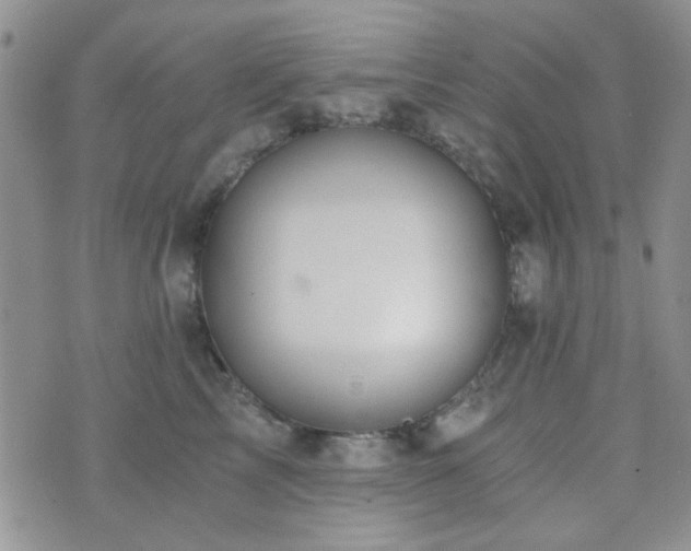 X0000073700713200608031214