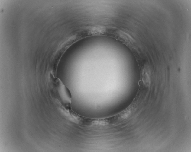 X0000073700714200608031214