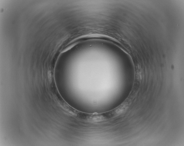 X0000073700716200608031214