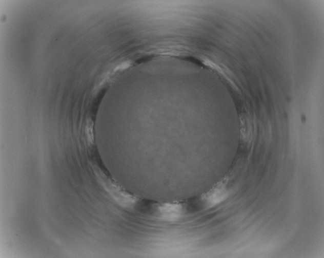 X0000073700718200608031214